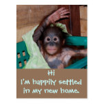 Cute New Home Change of Address postcards