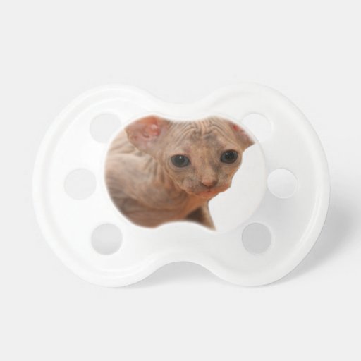 Cute newborn sphynx kitten baby pacifier | Zazzle