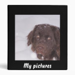 Cute newfoundland girl 3 ring binders