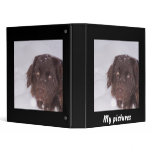 Cute newfoundland girl 3 ring binders
