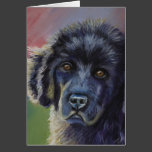 Cute Newfoundland Puppy Dog Art - Cards