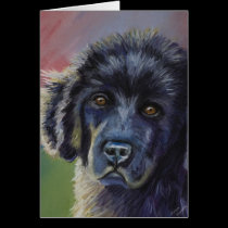 Cute Newfoundland Puppy Dog Art - cards