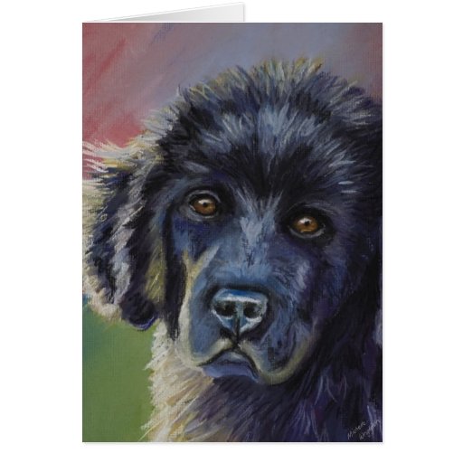 Cute Newfoundland Puppy Dog Art - Cards