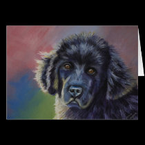 Cute Newfoundland Puppy Dog Art - cards