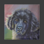 Cute Newfoundland Puppy Dog Art - Magnets