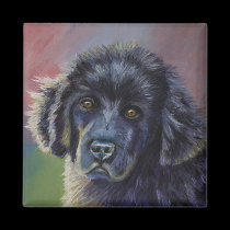 Cute Newfoundland Puppy Dog Art - magnets
