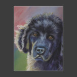 Cute Newfoundland Puppy Dog Art - Postcards