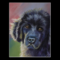Cute Newfoundland Puppy Dog Art - postcards
