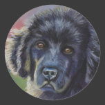 Cute Newfoundland Puppy Dog Art - Round Stickers