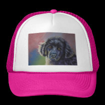 Cute Newfoundland Puppy Dog Art - hats