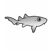 Cute Nurse Shark 