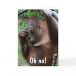 Cute Old Age Birthday for friends cards