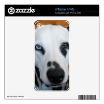 Cute One Blue Eye Dalmatian Dog Skin For The iPhone 4