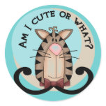 Cute or What Cat Round Sticker