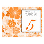 Cute orange flowers Table Number Postcard postcards