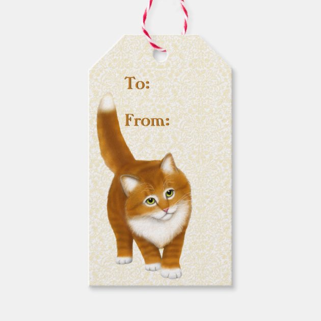 Cute Orange Tabby Kitten Holiday Gift Tags Pack Of Gift Tags