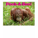 Cute Orangutan Peek-A-Boo! Women's Babydoll Shirt