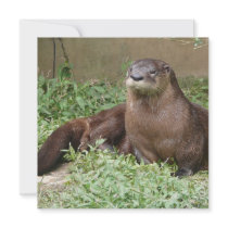 Cute Otter Invitations