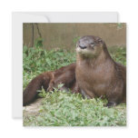 Cute Otter Invitations