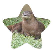 Cute Otter Stickers
