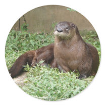 Cute Otter Stickers