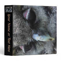 Cute Owl 3 Ring Binders