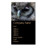 Cute Owl business cards