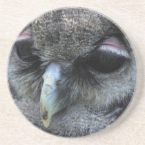Cute Owl Coasters