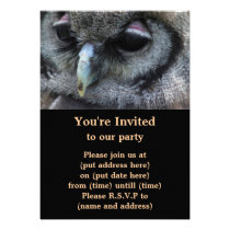 Cute Owl Personalized Invites