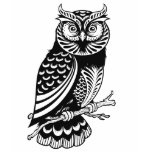 Cute owl womens t-shirt