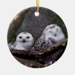 Cute Owls Christmas Ornament