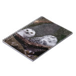 Cute Owls Spiral Note Book