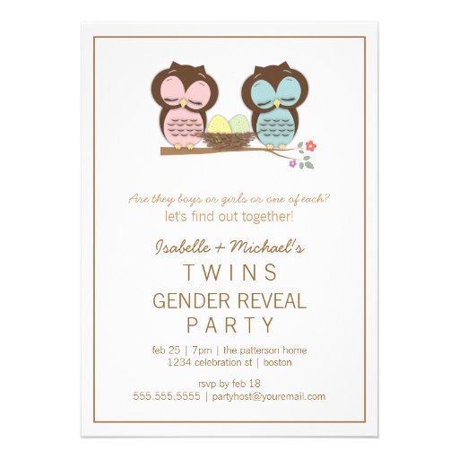 Cute Owls Twin Baby Gender Reveal Party Invitation (front side)