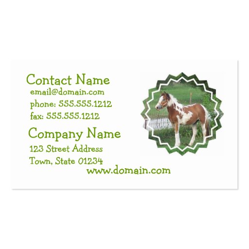 Cute Paint Pony Business Card
