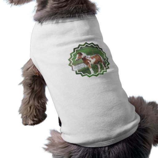 Cute Paint Pony Pet Shirt
