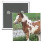 Cute Paint Pony Pin