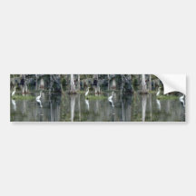 Cute Pair Of Louisiana Herons In Water Near Morgan Bumper Sticker