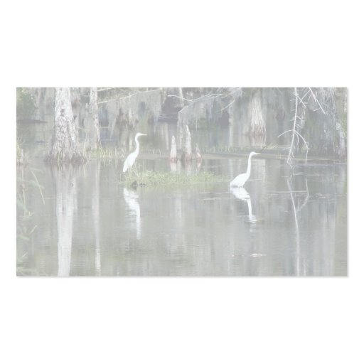 Cute Pair Of Louisiana Herons In Water Near Morgan Business Cards (back side)
