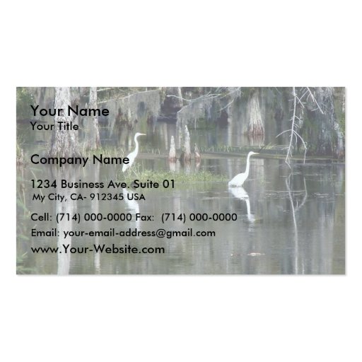 Cute Pair Of Louisiana Herons In Water Near Morgan Business Cards (front side)