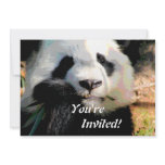 Cute Panda Bear Invitation
