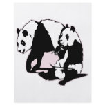 Cute Panda Bears Full Color Flyer
