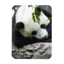 Cute Panda Flexible Magnet