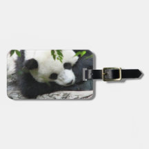 Cute Panda Luggage Tag