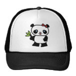 panda, pandas, bear, bears, wild