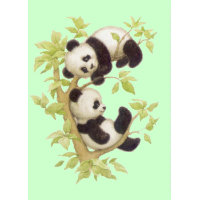 Cute Pandas card