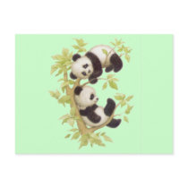 Cute Pandas Postcard