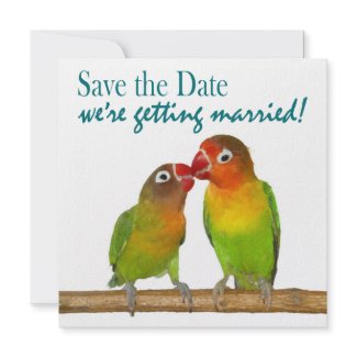 Cute Parrot Love Birds Tropical Save the Date invitation