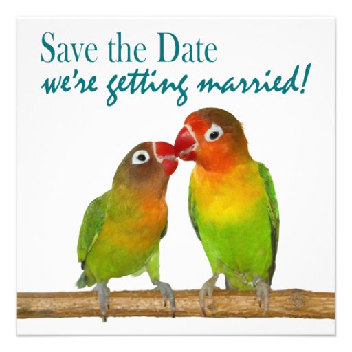 Cute Parrot Love Birds Tropical Save the Date Custom Announcements