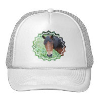 Cute Paso Fino Baseball Hat