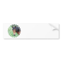 Cute Paso Fino Bumper Sticker